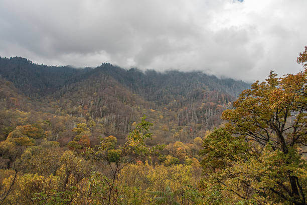 istock Fall at the Great Smoky Mountains National Park 626523492