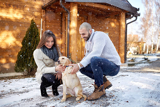 istock Winter holyday with dog on mountain 626523872