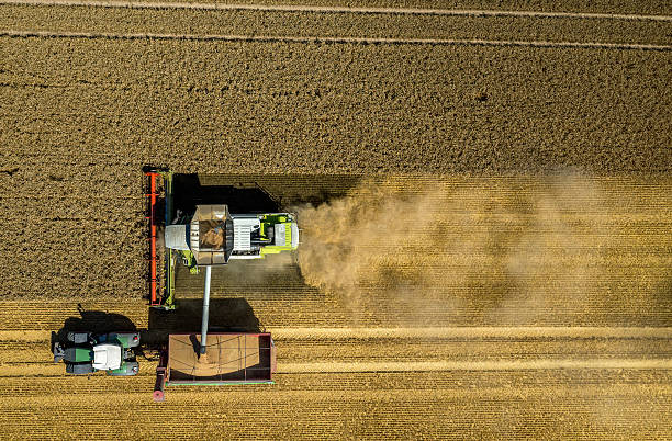 istock Combine working on the wheat field 626529928