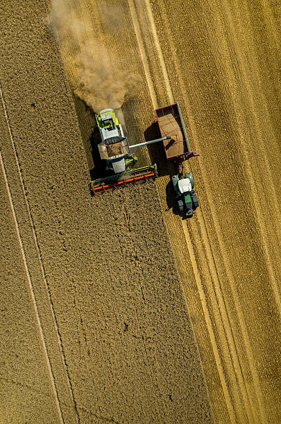 istock Combine working on the wheat field 626530094