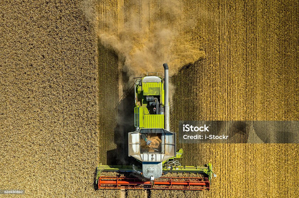 Combine working on the wheat field Aerial view on the combine working on the large wheat field Combine Harvester Stock Photo