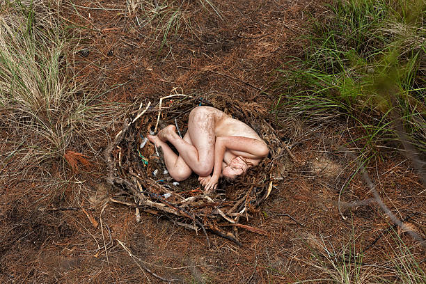 istock Female in a nest 626530878
