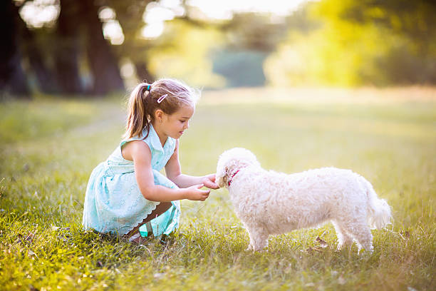 istock Girl sharing watermelon with her cute dog 626536696