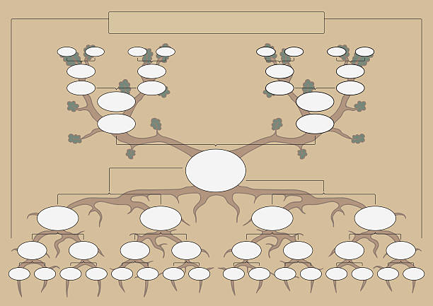 The genealogical tree The family tree, vector chart pics of family tree chart stock illustrations