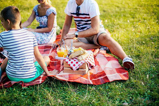 istock Cheerful happy family picnicking 626540344