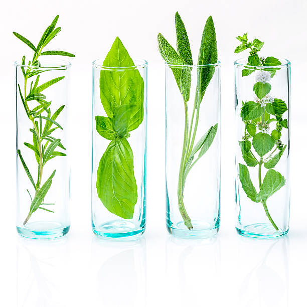 istock Close Up bottles of essential oils with fresh herbs . 626541748