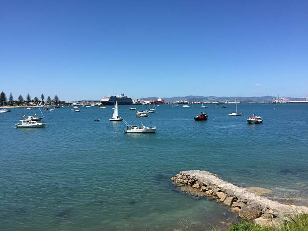 istock Mount Maunganui Beach 626545020