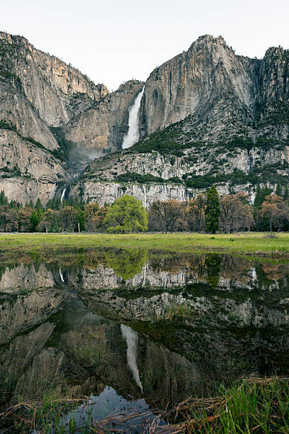 istock Scenic View On A Clear Day in Yosemite National Park 626546556