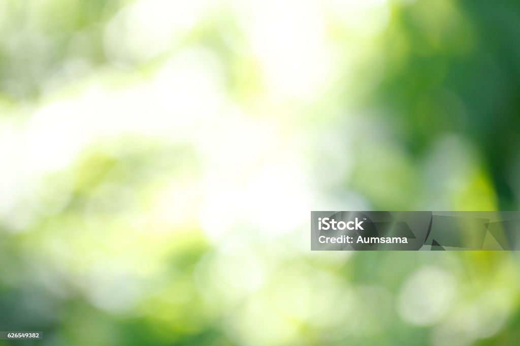 Grüne bokeh von tree  - Lizenzfrei Wohlbefinden Stock-Foto