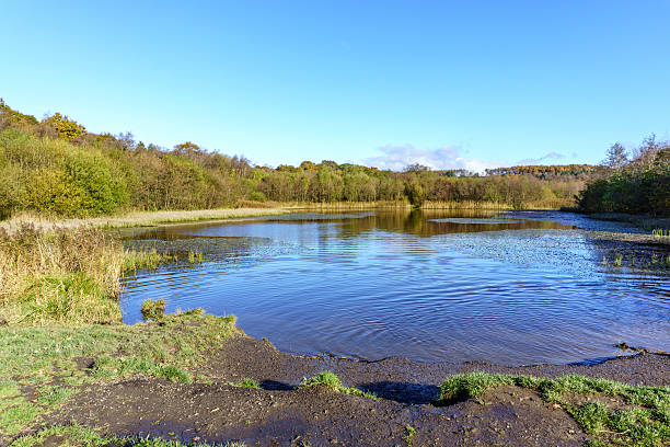 istock Welsh countryside and lake in Autumn 626564892