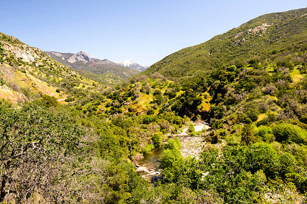 istock Scenic View In Sequoia National Park On A Clear Day 626565536