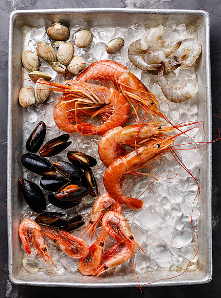 istock Raw fresh Seafood Cocktail 626571556