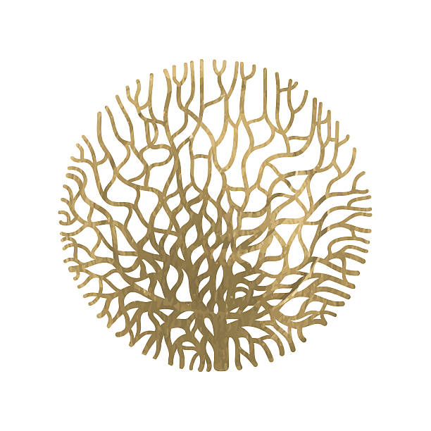 grafischer korallenkreis - golden algae stock-grafiken, -clipart, -cartoons und -symbole