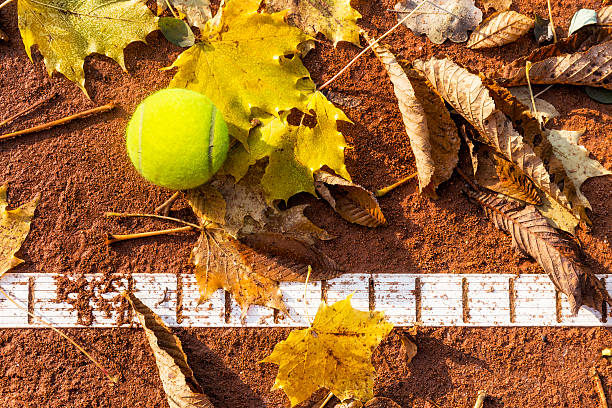 Double tennisbal in the Green Grassl