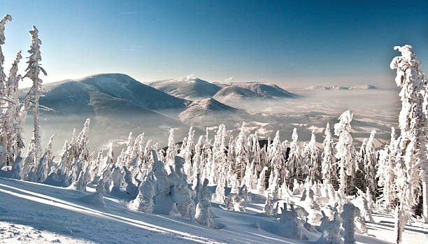 winter Moravskoslezske Beskydy mountains with clear sky panorama of winter Moravskoslezske Beskydy mountains with Knegyne, Velka Stolova, Radhost and other hills, trees covered by snow and clear sky during hiking to Lysa hora hill beskid mountains photos stock pictures, royalty-free photos & images