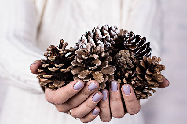 istock Cones in the hands of women. 626572704