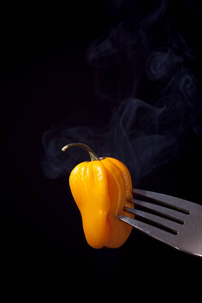Smoking Hot Pepper Habanero yellow on a black background. Fork impale to hot pepper.