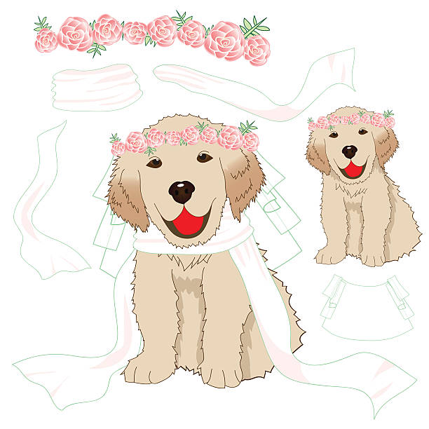 istock Puppy Golden Retriever Bride with Crown Pink Rose Flower 626573446