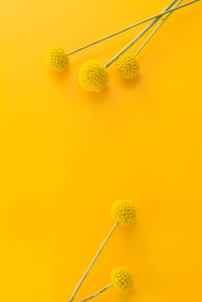 istock Flowers against a yellow background 626575566