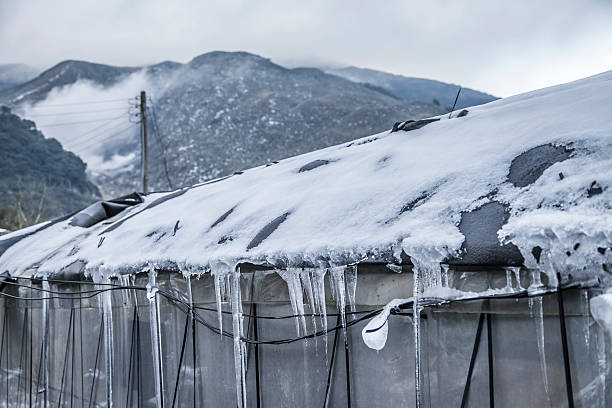 istock Snow in Tropical Yangmingshan mountain 626585354