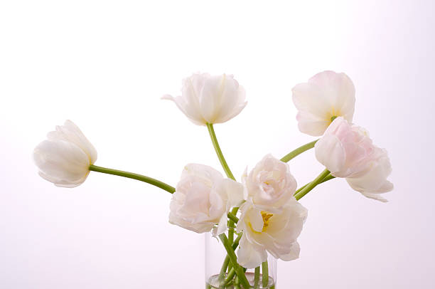 istock Bunch of flowers 626587940