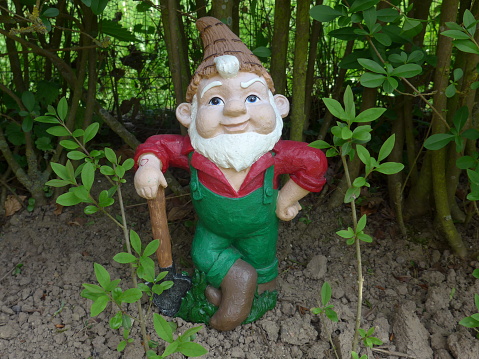 Garden gnome with shovel at work in front of a hedge 