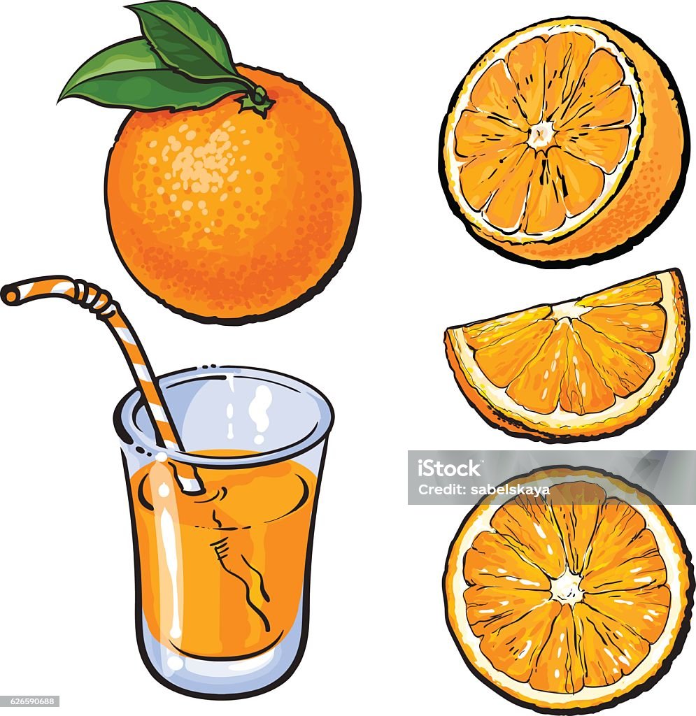 Cam Và Một Ly Nước Trái Cây Mới Vắt Phác Thảo Vector Hình minh họa ...