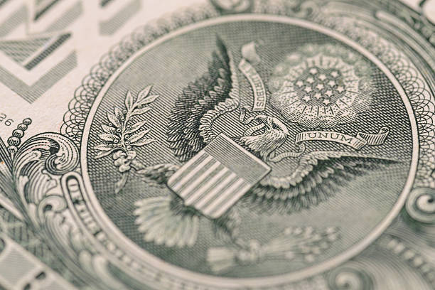 istock US one dollar, detail view. 626591898