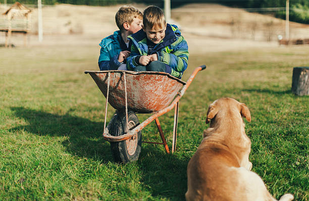 istock Fun day at the farm 626602834