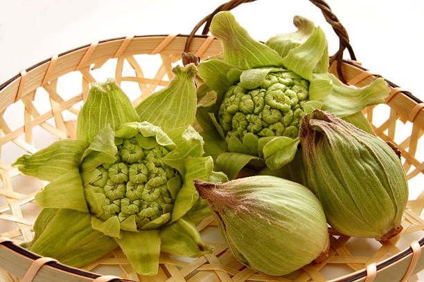 istock Butterbur Scape, Japanese food 626610730