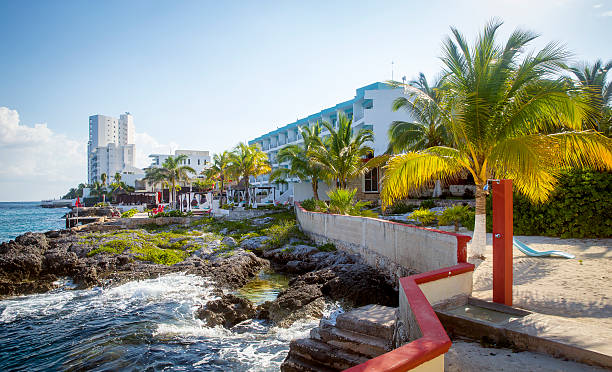 istock Coast of Cozumel island in Mexico 626611982