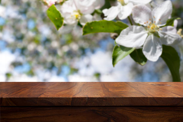 istock Empty top wooden table and floral blurred background 626617400