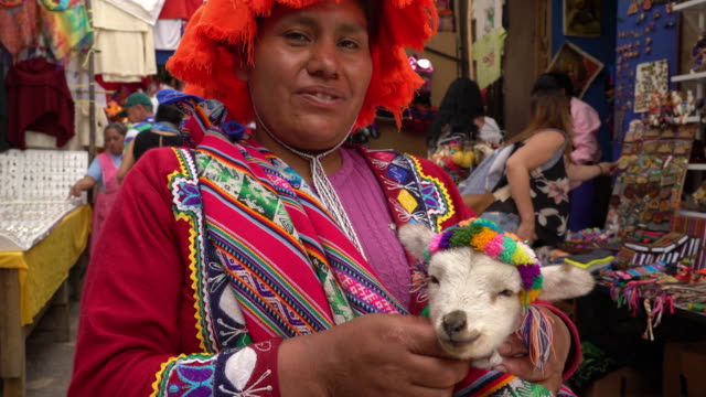 Indigenous Peruvian woman with baby Alpaca in Pisac market, Cusco
