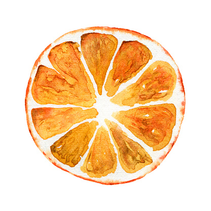 Slice of orange isolated on white background. Watercolor illustration