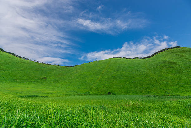 istock Greengrass at Soni plateau,Nara Prefecture ,Japan 626620002