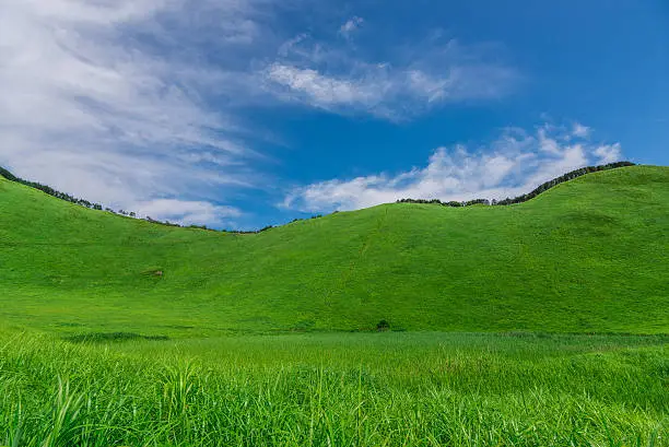 Greengrass against blue sky at Soni plateau,Nara Prefecture,Japan