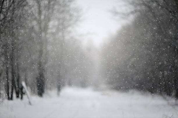 istock Christmas background, trees in frost. blurred , bokeh, new year 626622456