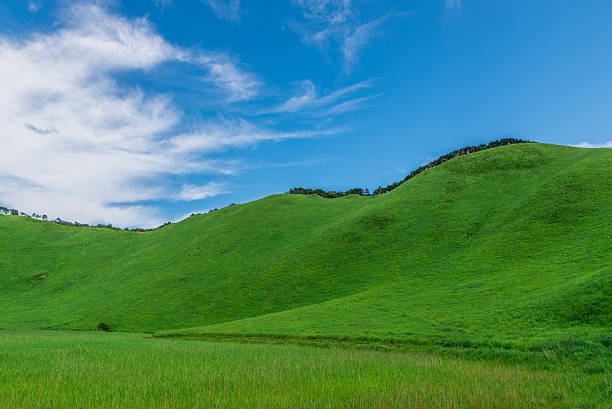 istock Greengrass at Soni plateau,Nara Prefecture ,Japan 626622582