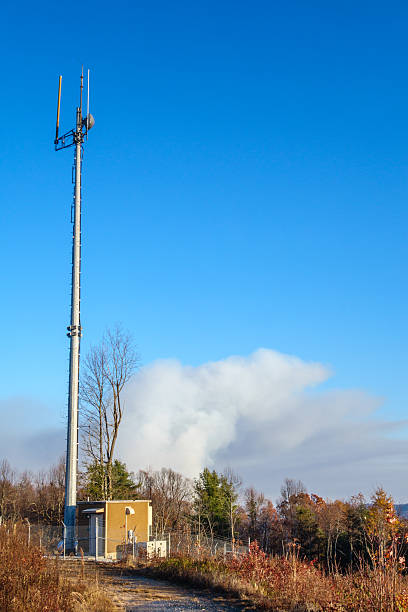 fumo che sale sopra pinnacle mountain wildfire, carolina del sud - pinnacle foto e immagini stock