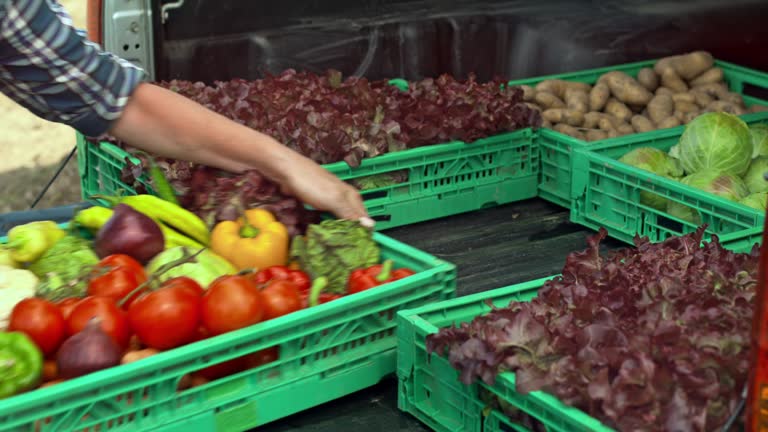 Female farmer loading a delivery truck with produce