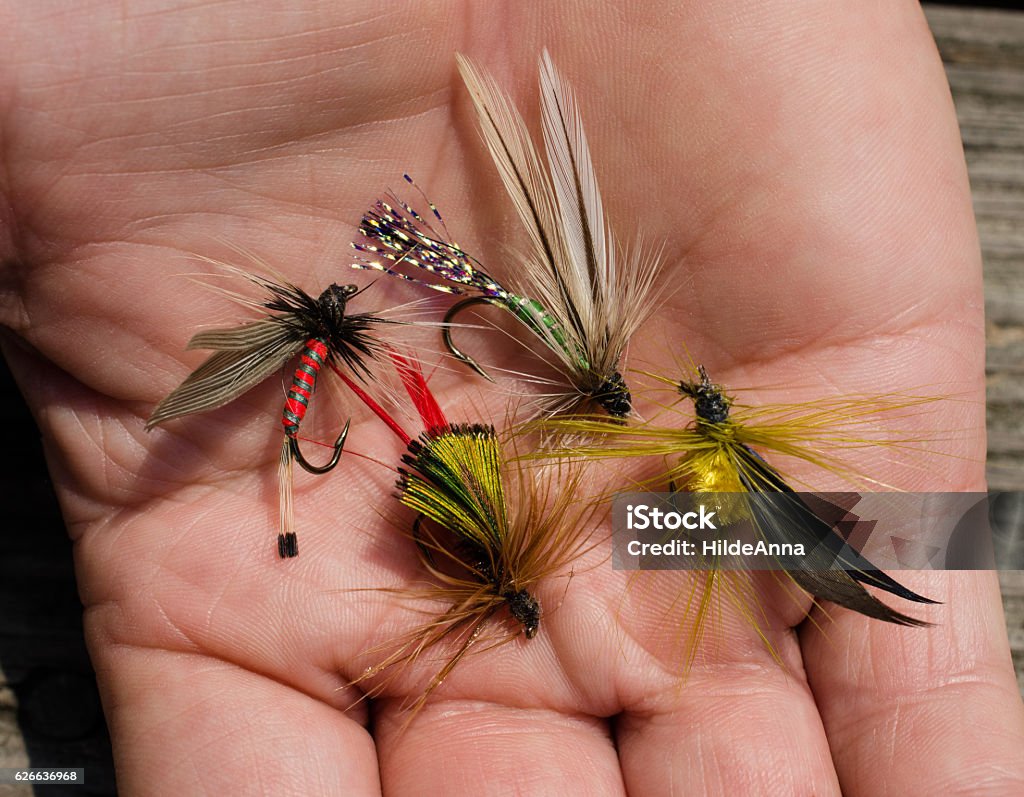 Tied flies, bait for fly fishing Bright colorful tied flies to be used for fly fishing.  Feathers and hook used to created homemade hand crafted fishing bait.  Fishhook used for leisure sport activity of fly fishing. Tying Stock Photo