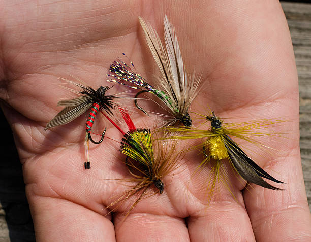 Tied flies, bait for fly fishing Bright colorful tied flies to be used for fly fishing.  Feathers and hook used to created homemade hand crafted fishing bait.  Fishhook used for leisure sport activity of fly fishing. tied up stock pictures, royalty-free photos & images