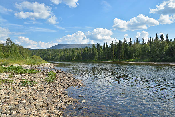 istock Virgin Komi forests, the river Shchugor. 626641396