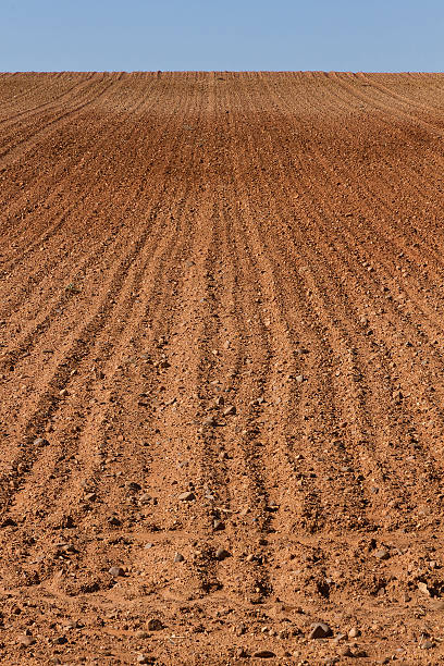 istock Farmland Furrows Plowed - Furrows on Aradad Farmland 626641866