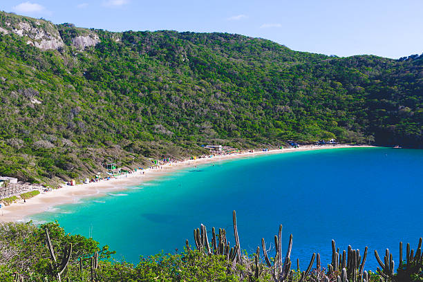 istock paradise beach in brazil 626647566