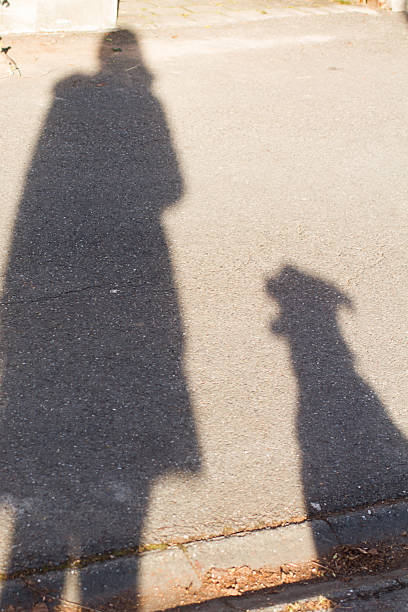 istock Sitting Dog and Owner 626656402