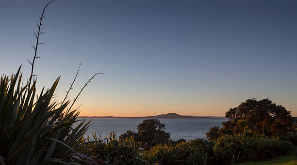 Rangitoto at Dawn The volcanic island, Rangitoto, in the Hauraki Gulf of Auckland New Zealand. rangitoto island stock pictures, royalty-free photos & images