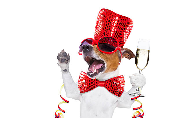 istock happy new year dog celberation 626659692
