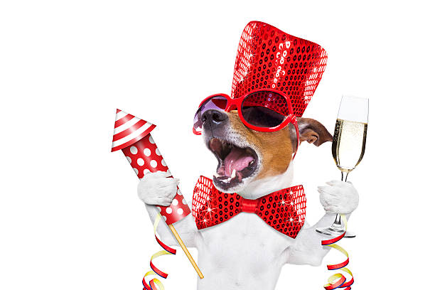 istock happy new year dog celberation 626659744