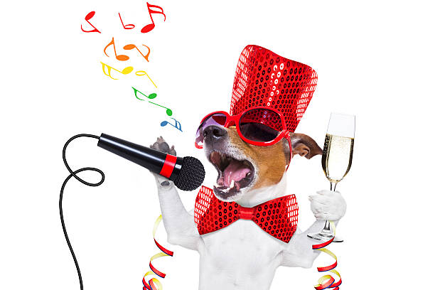 happy new year dog celberation jack russell dog celebrating new years eve with champagne glass and singing out loud, isolated on white background happy birthday song stock pictures, royalty-free photos & images